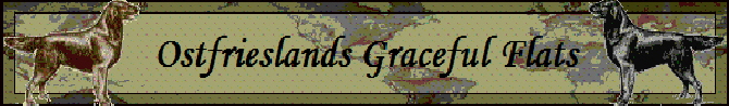 Ostfrieslands_Graceful_Flats_NBanner2